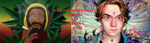 индика Бронницы