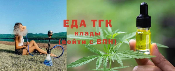 индика Бронницы