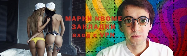 индика Бронницы
