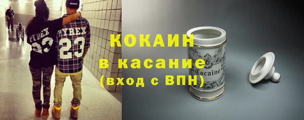 индика Бронницы
