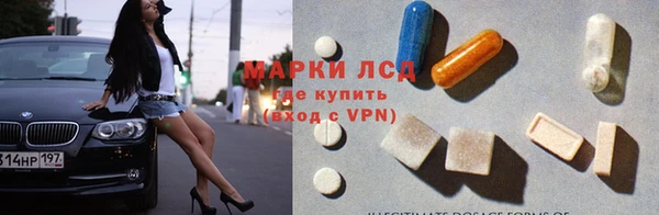 индика Бронницы
