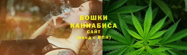 спиды Бородино