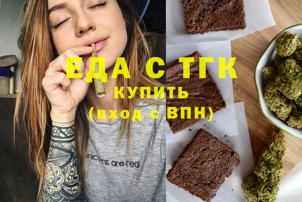 индика Бронницы