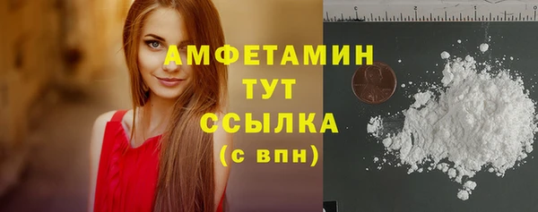 индика Бронницы