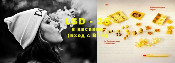 индика Бронницы