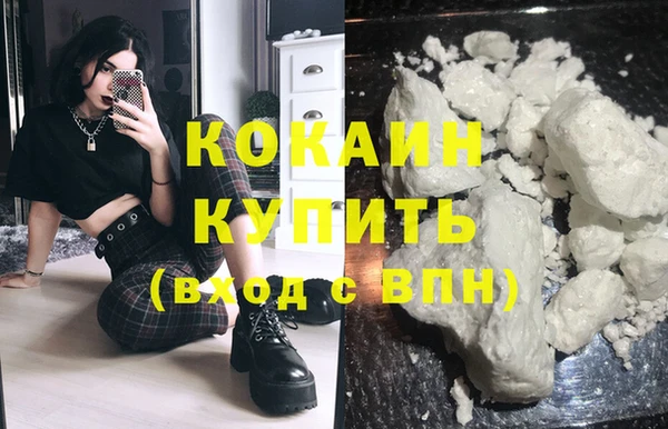 спиды Бородино