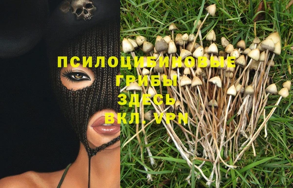 Альфа ПВП Снежногорск