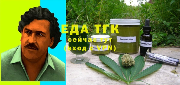 индика Бронницы