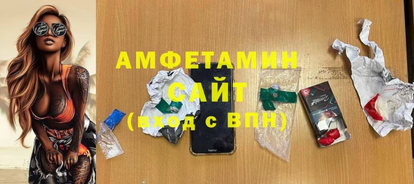 индика Бронницы