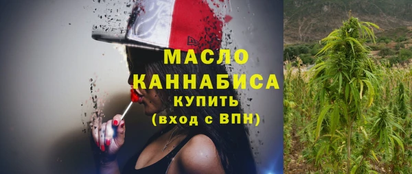 спиды Бородино