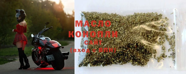 спиды Бородино