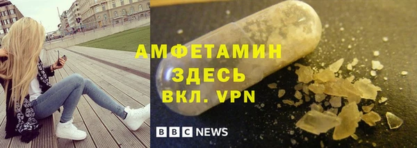индика Бронницы
