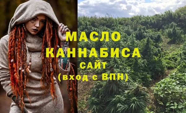 индика Бронницы