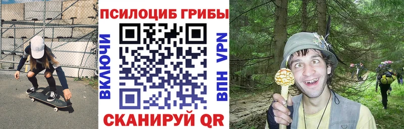Галлюциногенные грибы Cubensis  наркота  Брянск 